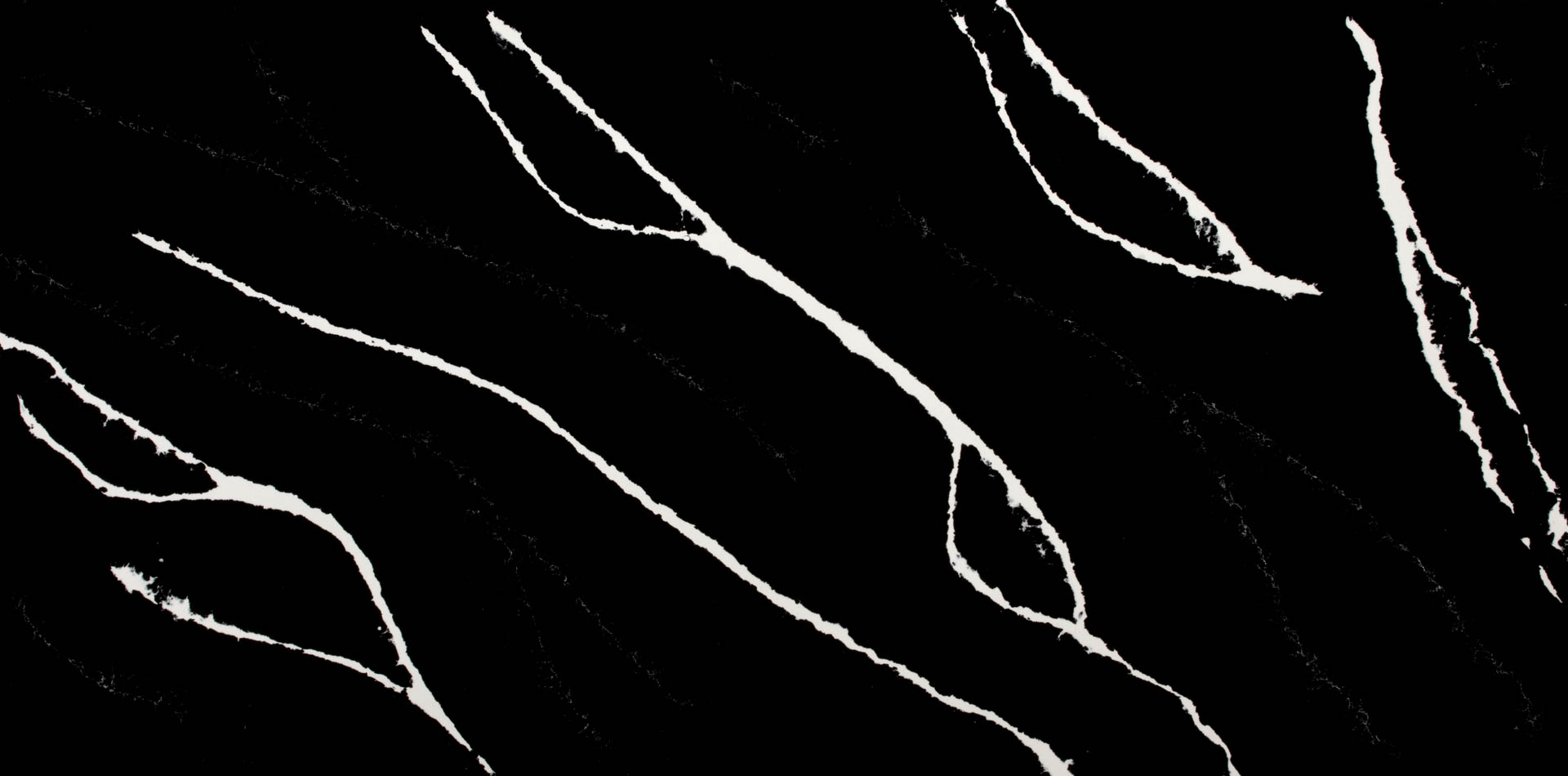 Marquina Lavagna 9719