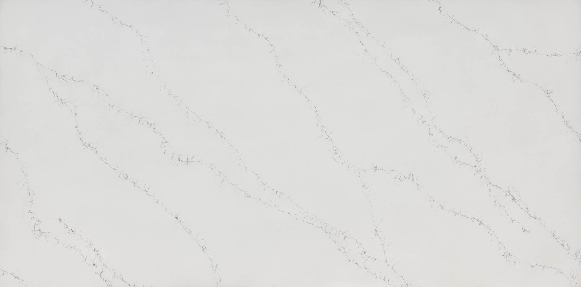 Calacatta Verona 8119