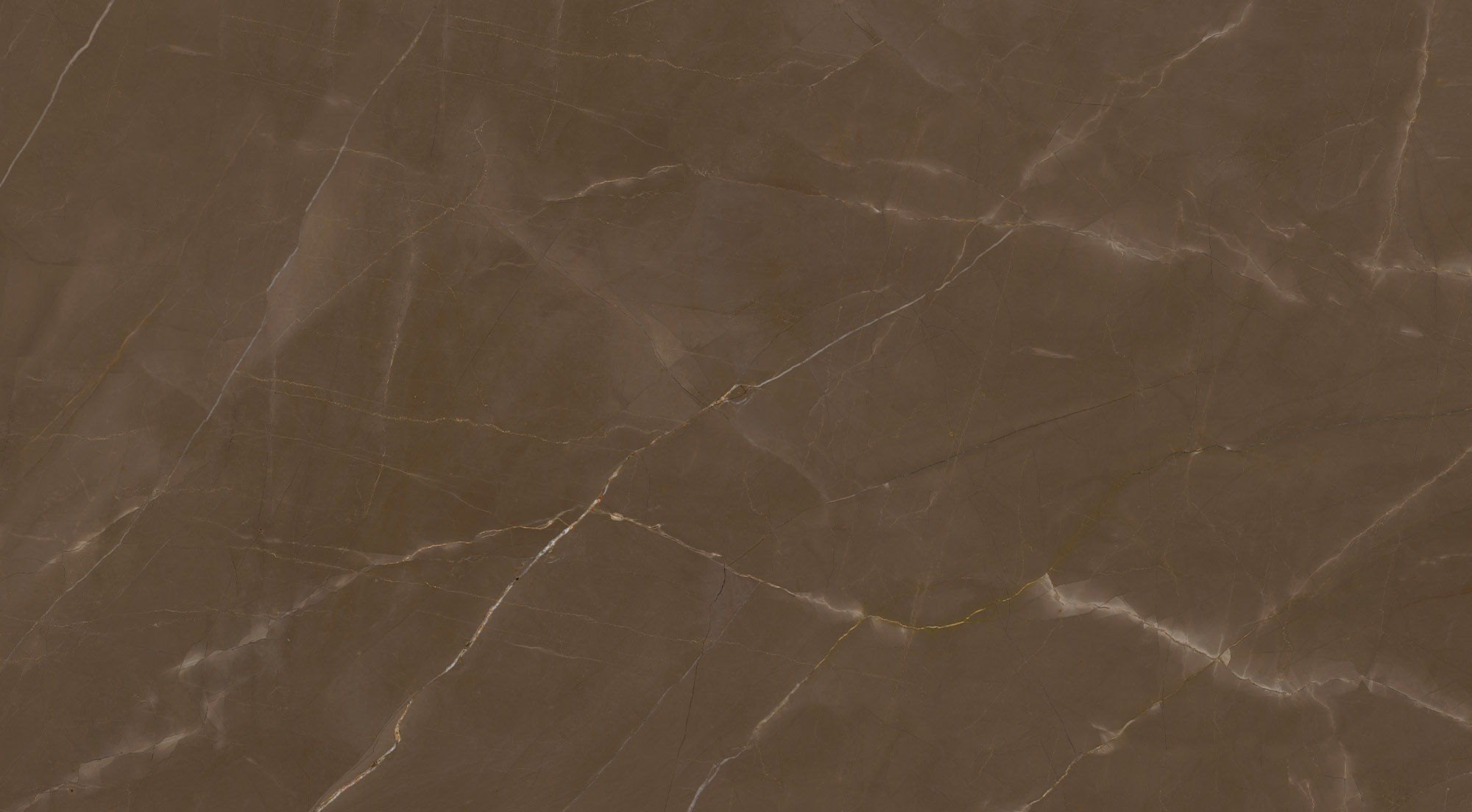ClasStone Pulpis